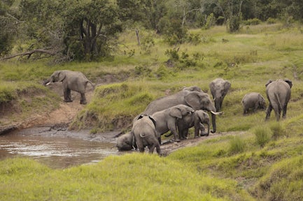 Ol Pejeta Bush Camp, Kenya