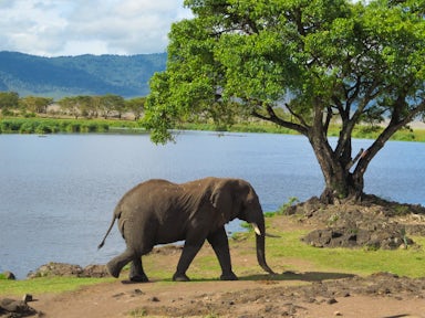 Arusha National Park