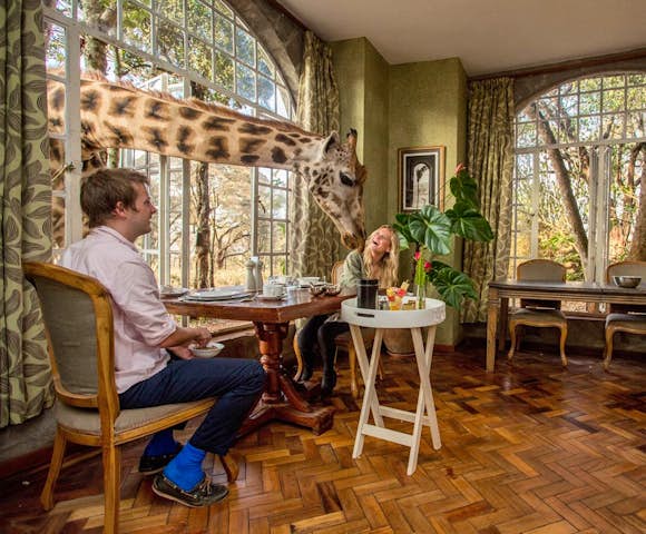 Kenya Safari Camps & Lodges