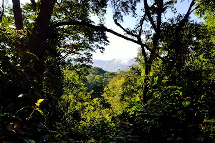 Gombe Stream National Park
