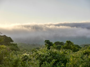 Gombe Stream National Park