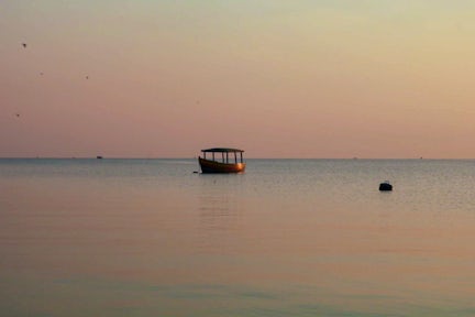 Gombe Stream National Park