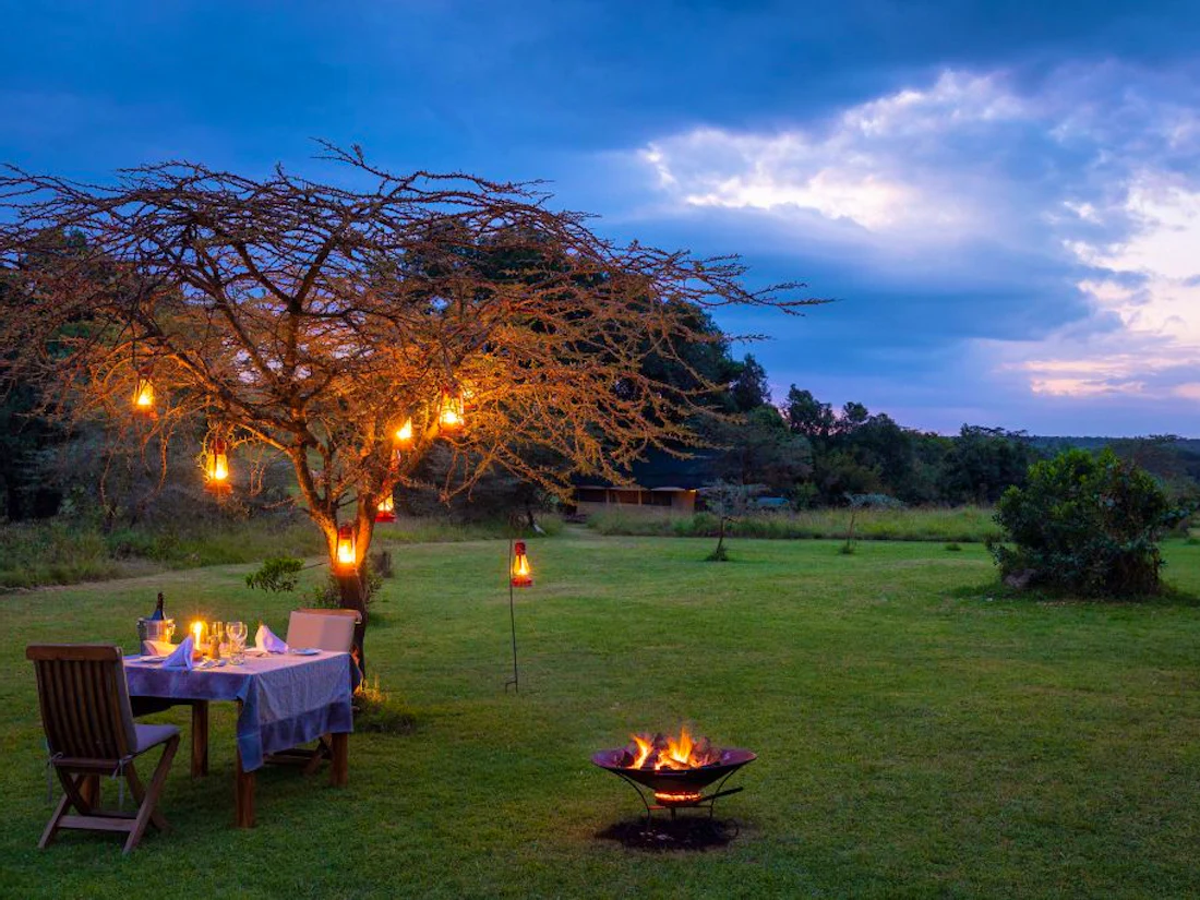Safari in the Maasai Mara ecosystem