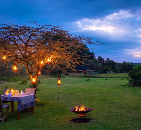 Safari at Kicheche Mara in the Maasai Mara