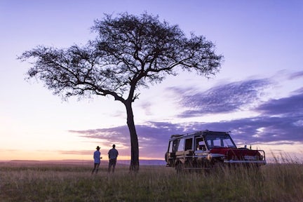 Safaris in Kenya