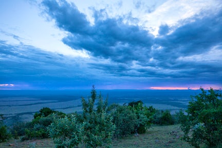 Maasai Mara, kenya