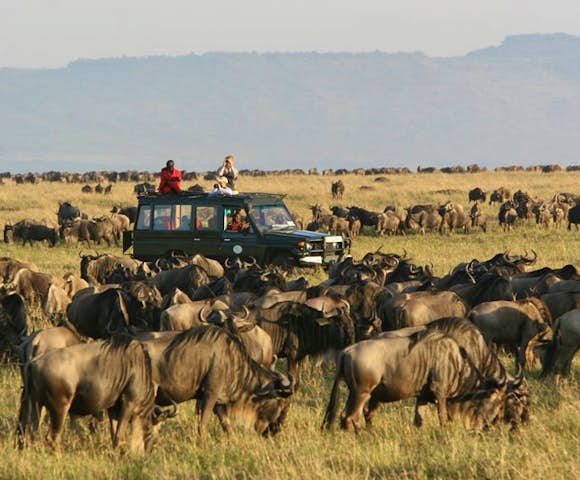 Great Migration Maasai Mara National Park