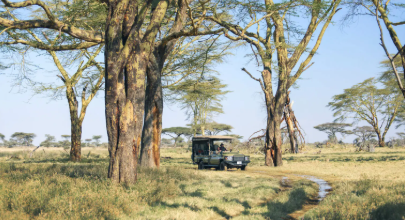 Namiri Plains Camp