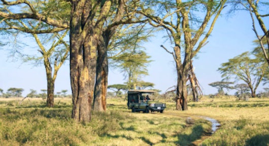Namiri Plains Camp