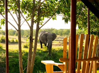 Kenya Safari Camps & Lodges