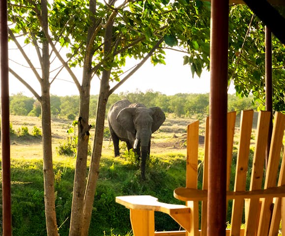 Kenya Safari Camps & Lodges