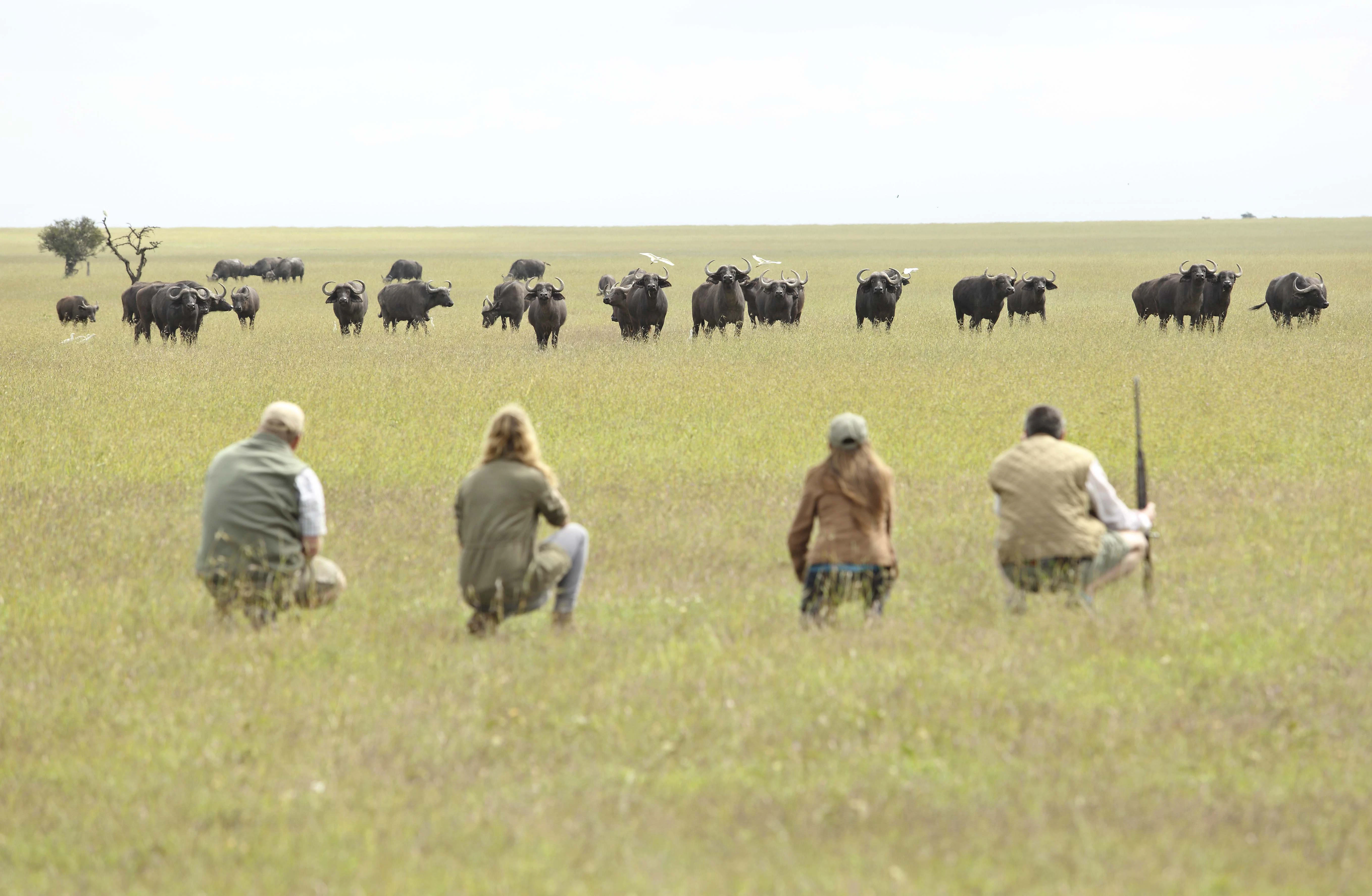 Ol Pejeta Conservancy Brilliant Africa