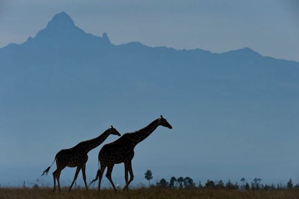 Escape to Mount Kenya