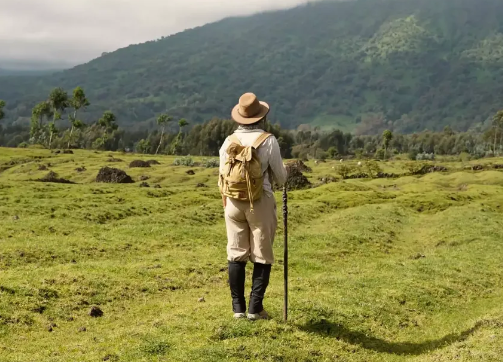 One&Only Gorilla's Nest