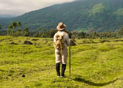 One&Only Gorilla's Nest