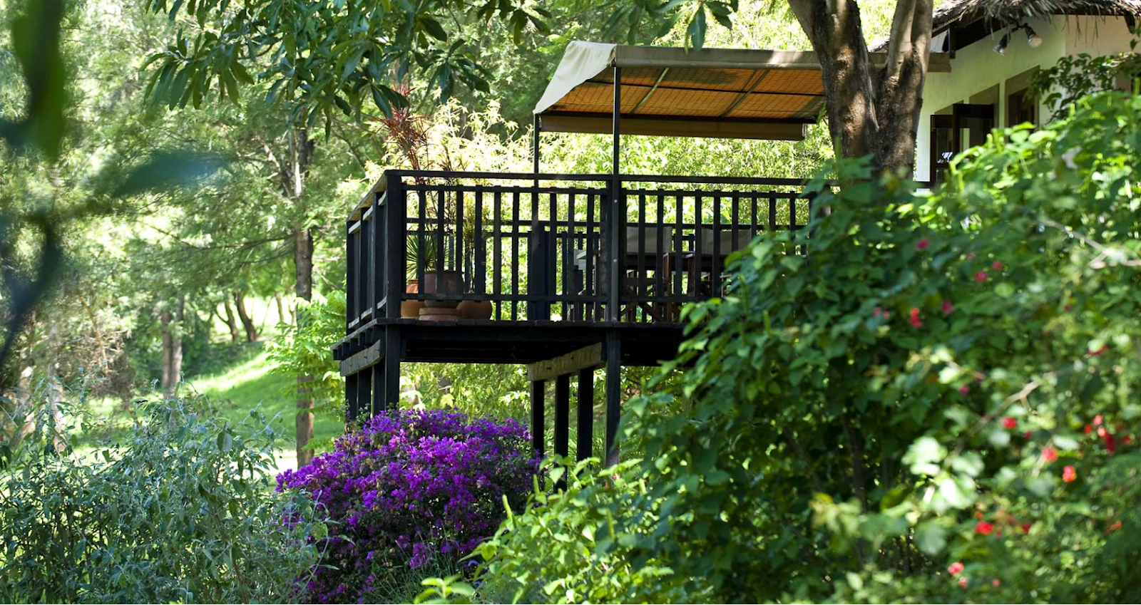 Veranda among the gardens at The Plantation Lodge