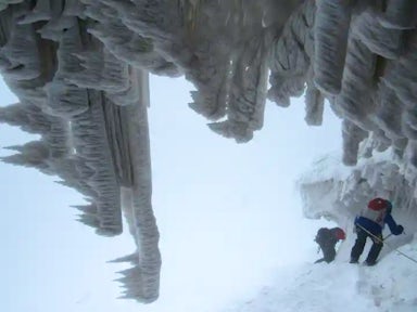 Glaciers of the Rwenzoris
