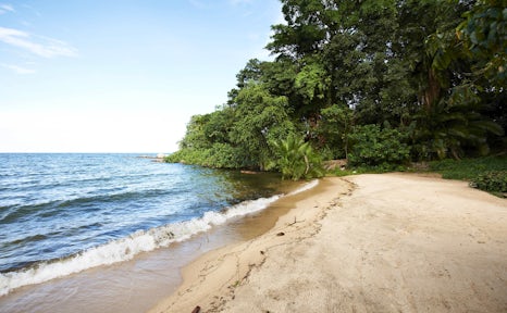 Gombe Stream National Park