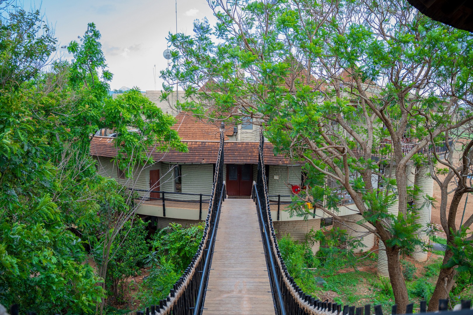 Salt Lick Safari Lodge
