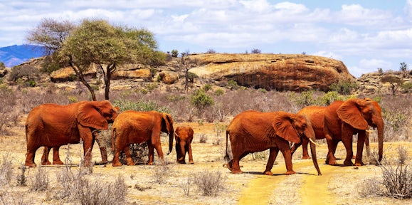 Tsavo West National Park