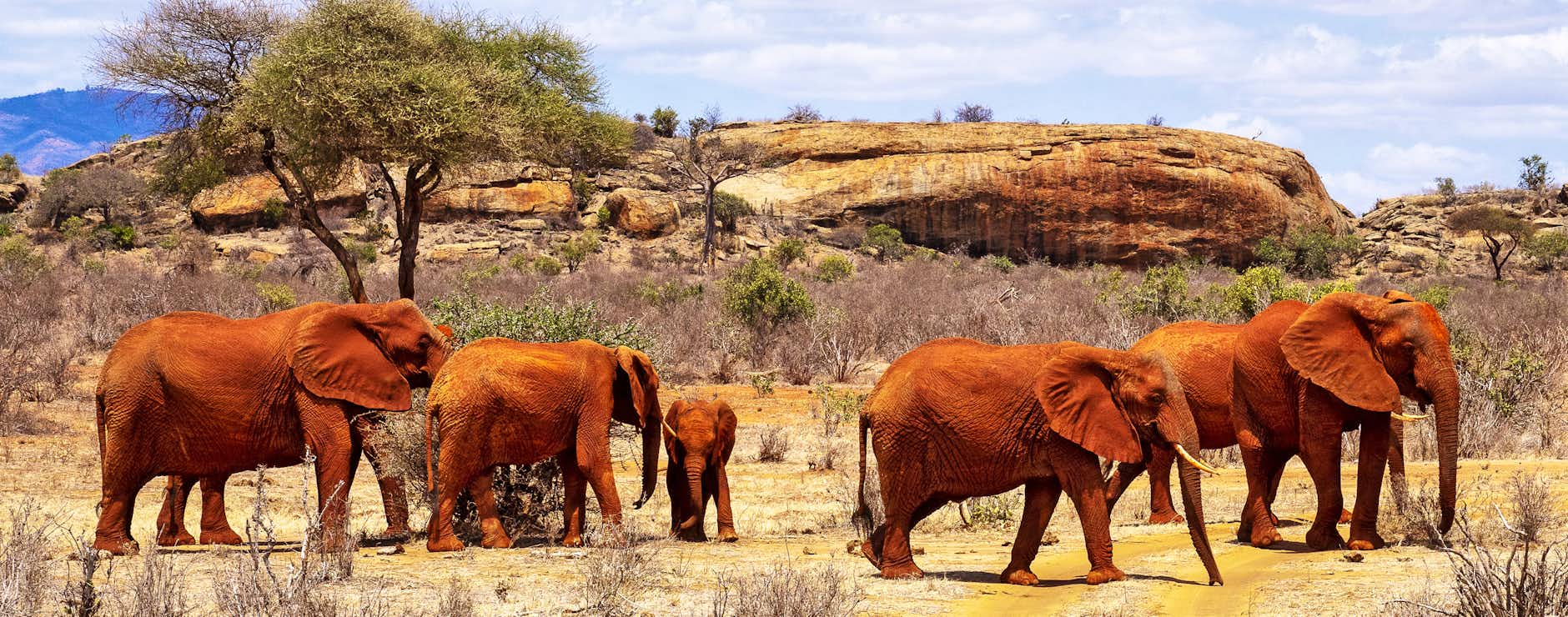 Tsavo National Park