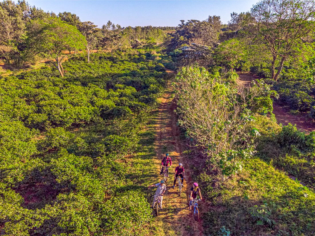Acacia Farm Lodge, Karatu, Ngorongoro Highlands