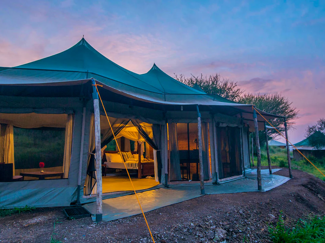Acacia Tarangire Luxury Camp, Tarangire National Park