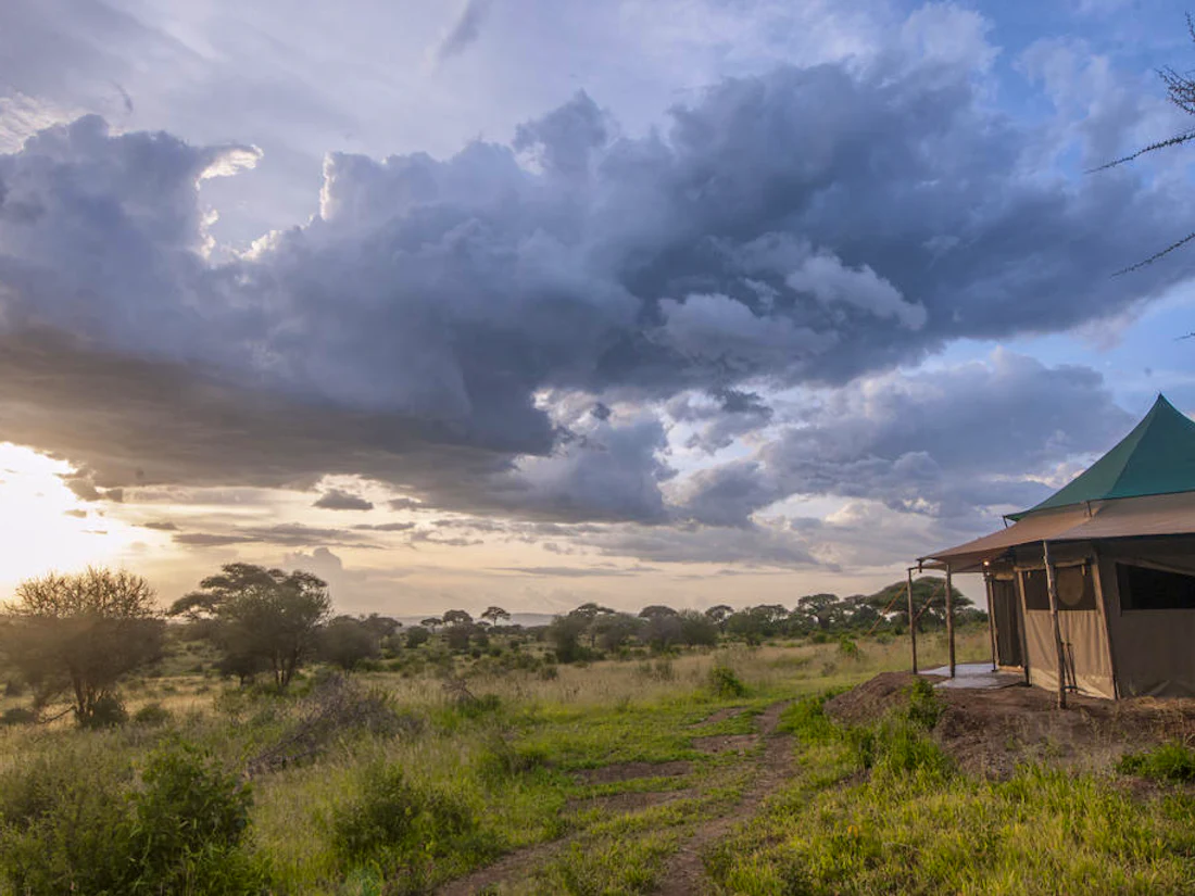 Acacia Tarangire Luxury Camp, Tarangire National Park