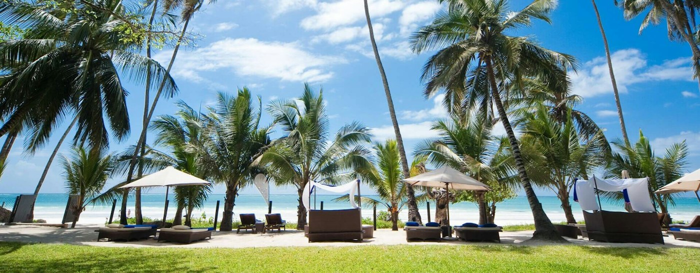Beachfront gardens shaded by palms at Almanara