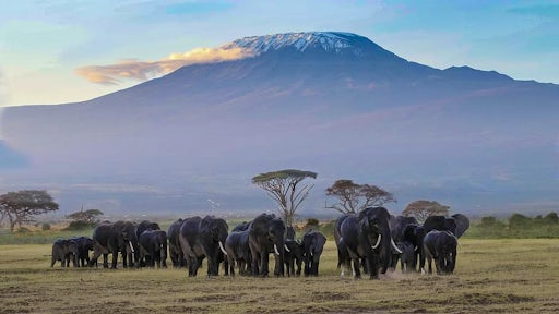 Escape to Mount Kenya
