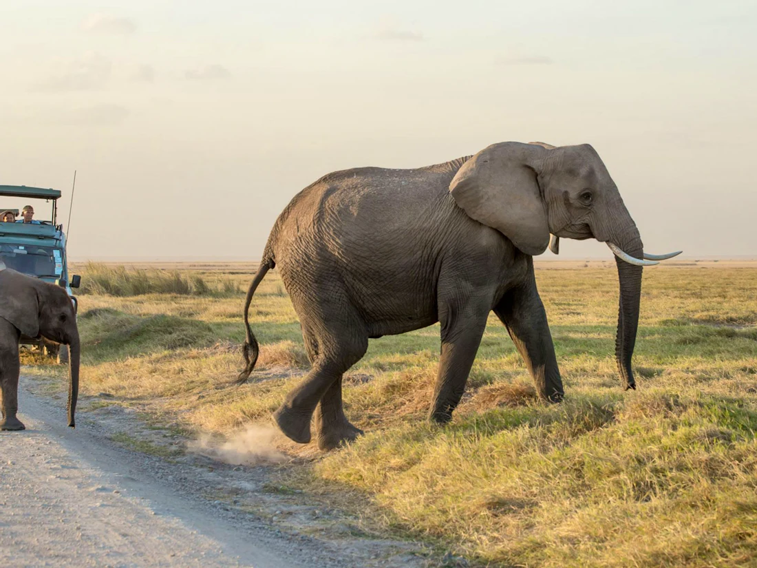 Amboseli Serena Safari Lodge, Amboseli National Park