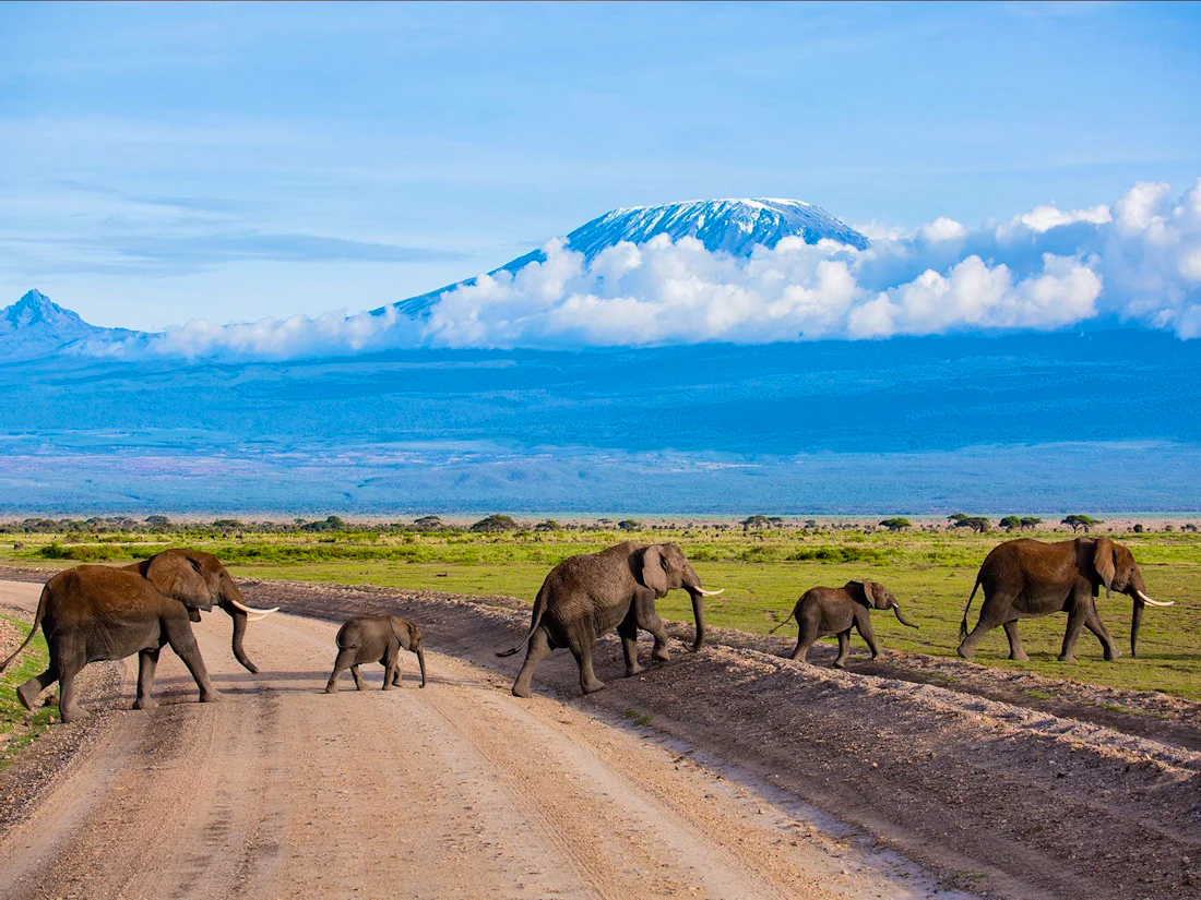 Amboseli Serena Safari Lodge, Amboseli National Park
