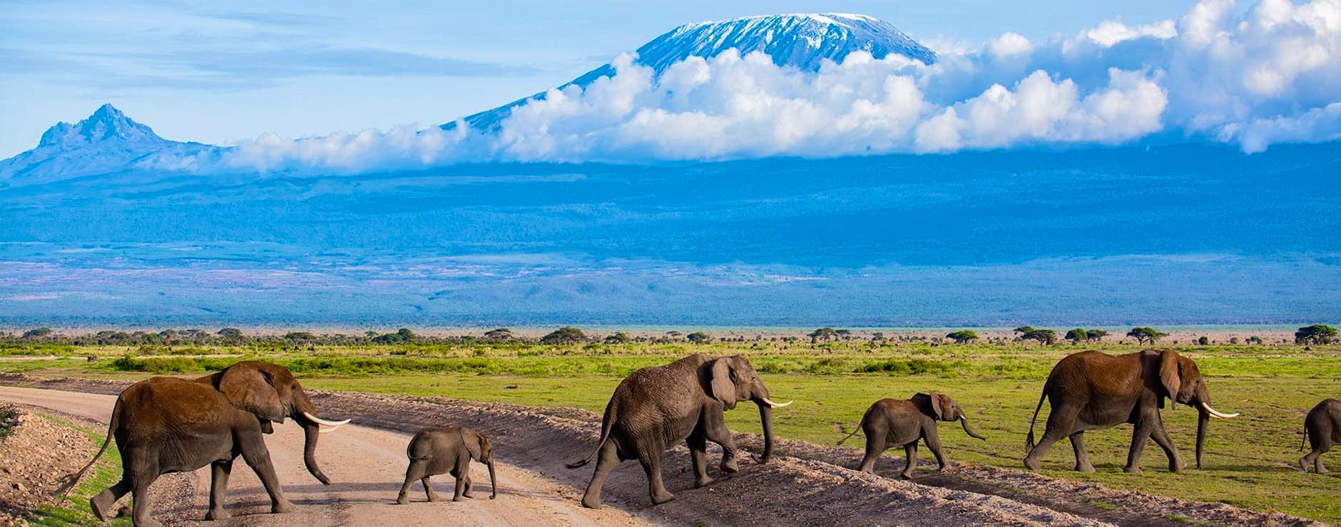 Amboseli Serena Safari Lodge | Brilliant Africa