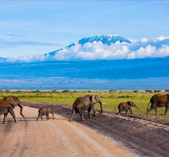 Amboseli Serena Safari Lodge in Amboseli National Park, Kenya