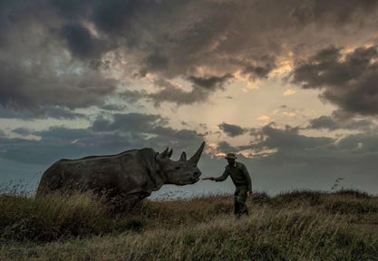 Ol Pejeta’s New Global Ambassador