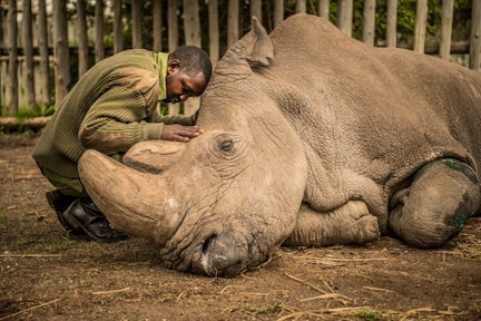 Ol Pejeta’s New Global Ambassador