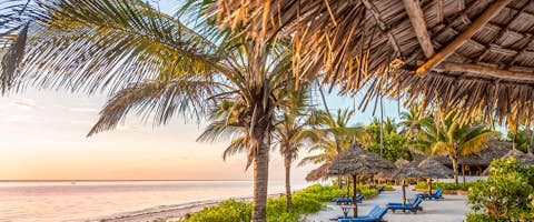 Tanzania Luxury Safari & Beach