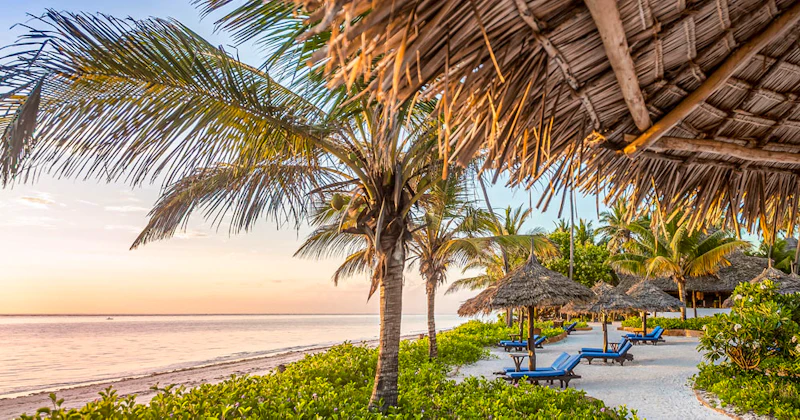 Tanzania Luxury Safari & Beach