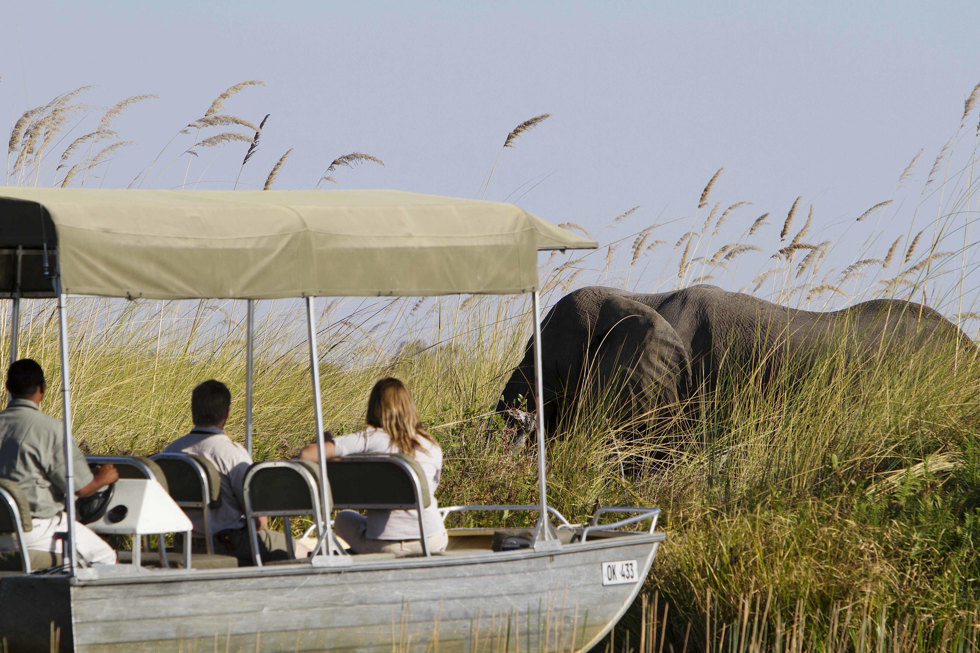 Moremi Game Reserve