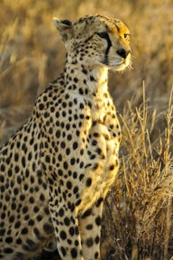 Serengeti National Park