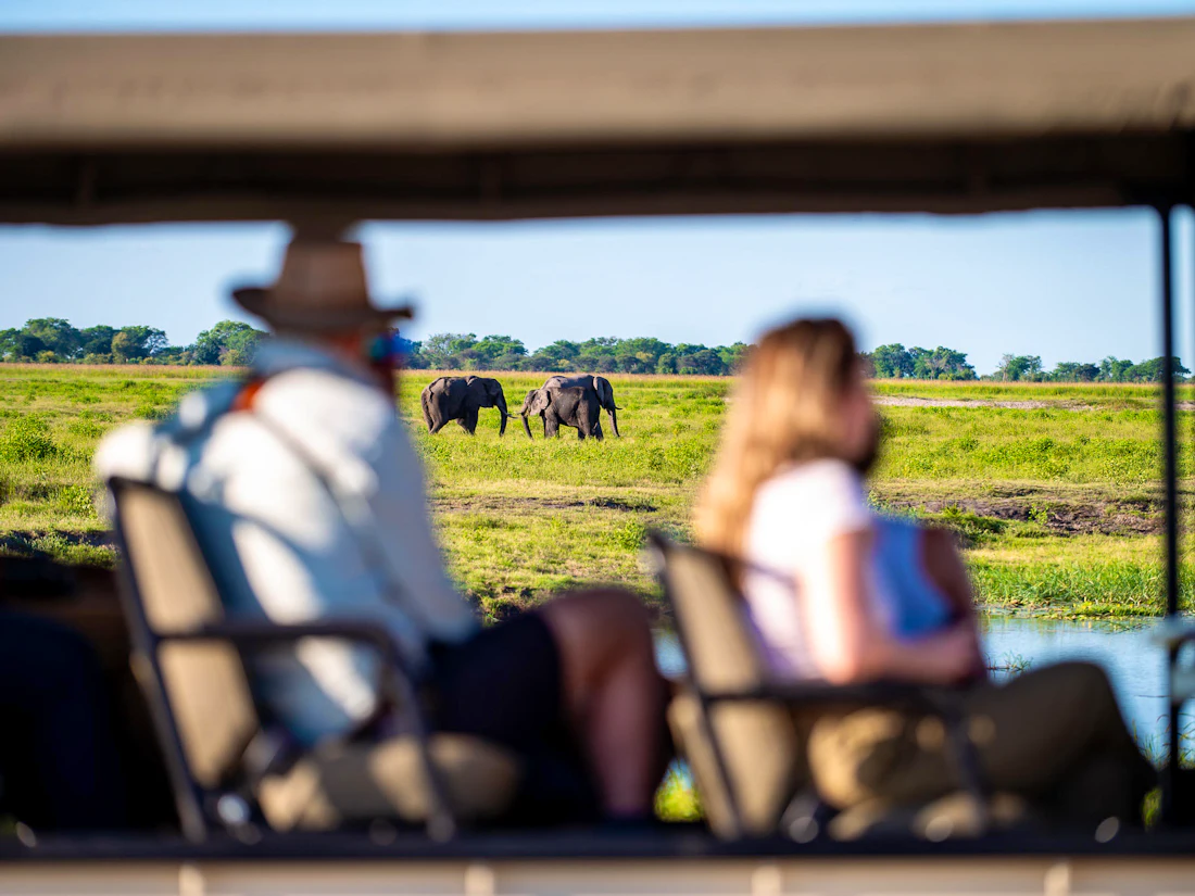 Wildlife beside the Chobe River in Botswana