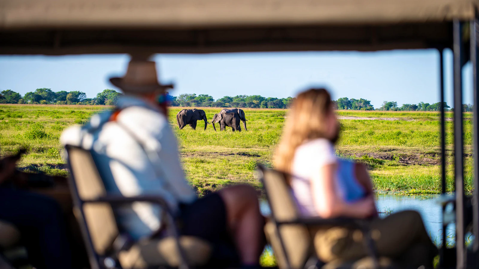 Elephants moving across the Chobe floodplain in Botswana