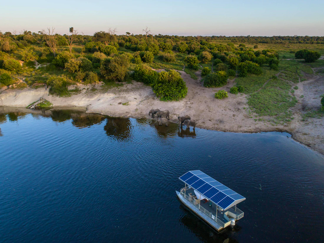 A boat safari on the Chobe River