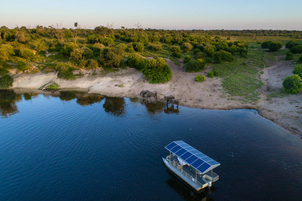 Aerial view of a solar-powered safari boat on the Chobe River with elephants on the bank, Botswana