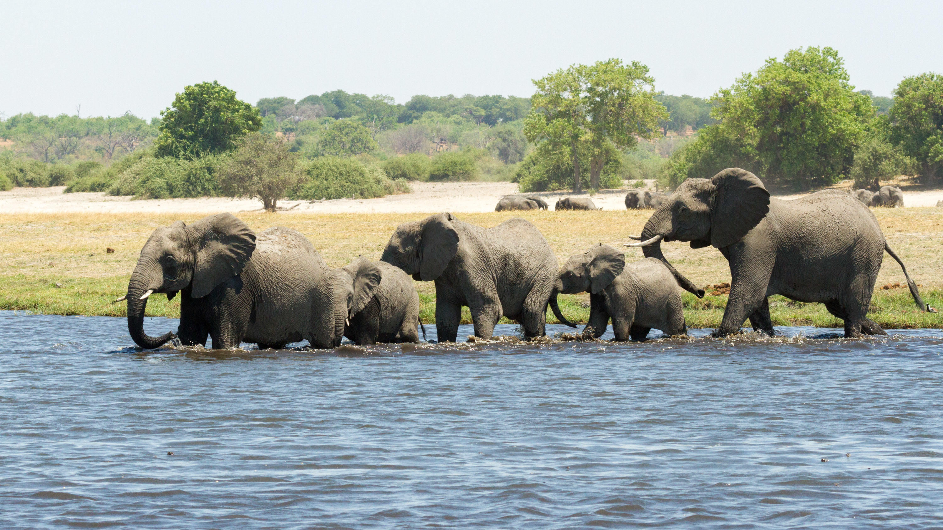 Chobe National Park