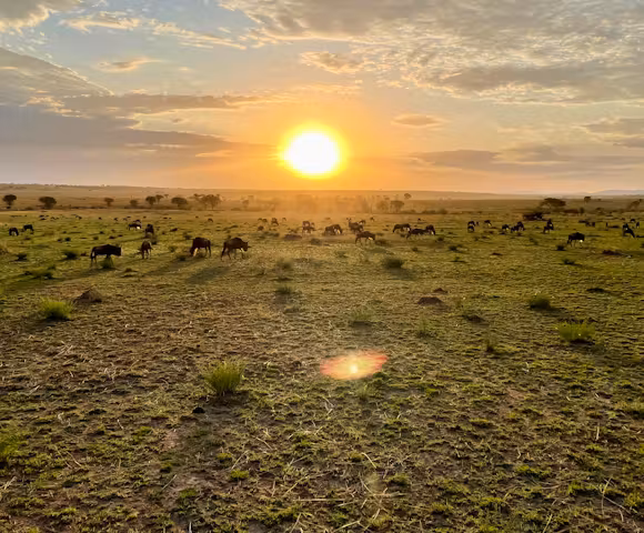 The Great Migration