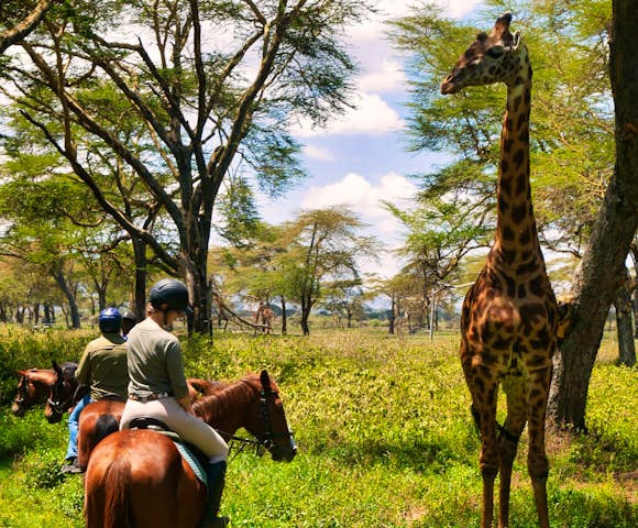 Discover East Africa