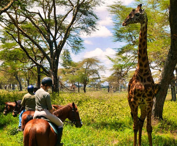 Kenya & Tanzania Safaris