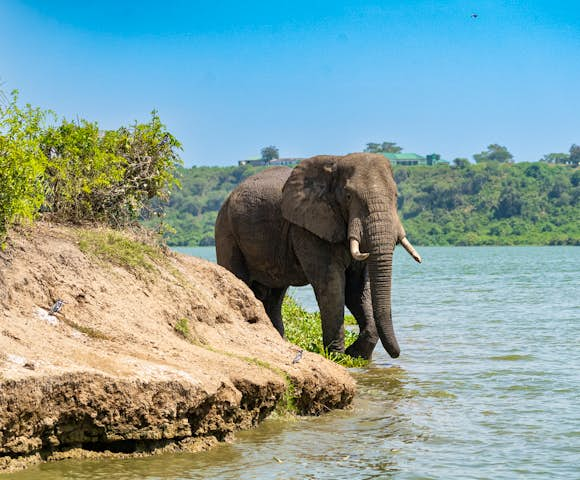 Tanzania Safari & Beach