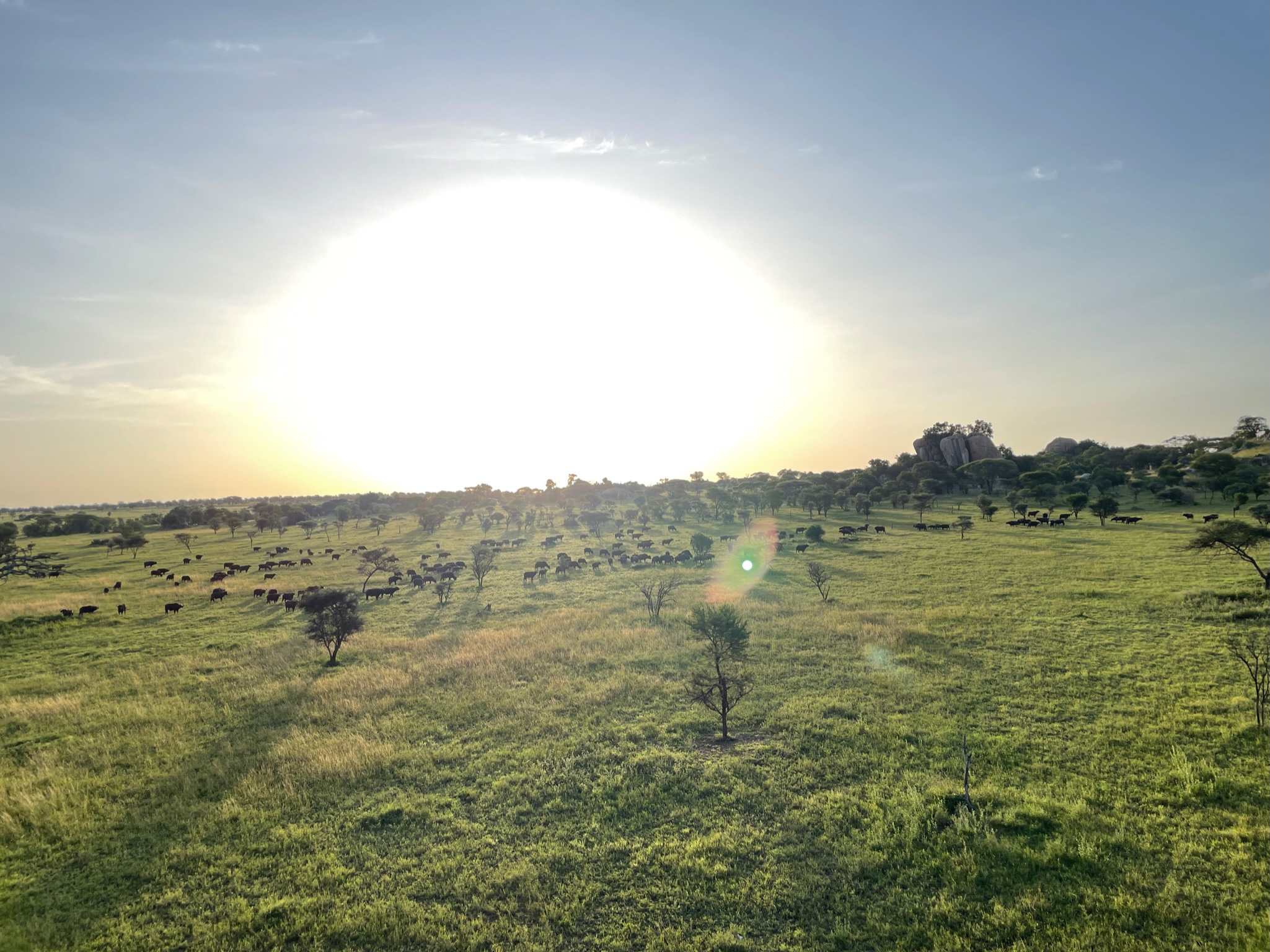 Kenya Safari & Beach